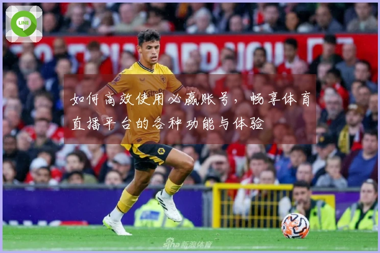 如何高效使用必赢账号,畅享体育直播平台的各种功能与体验