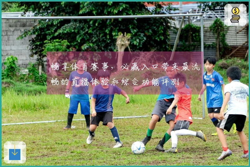 畅享体育赛事,必赢入口带来最流畅的直播体验和综合功能评测