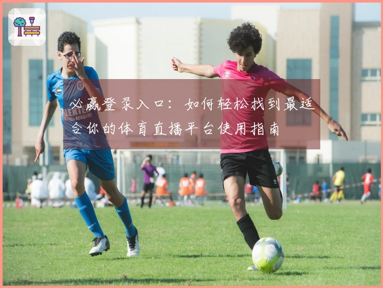 必赢登录入口：如何轻松找到最适合你的体育直播平台使用指南