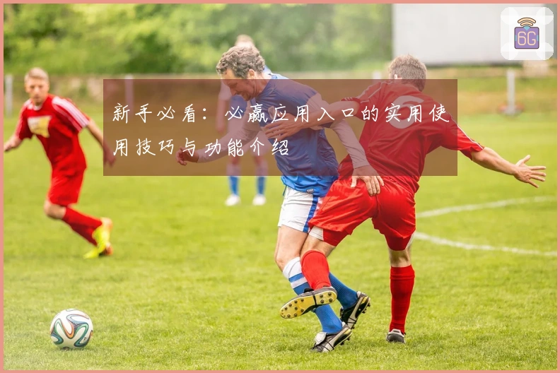 新手必看:必赢应用入口的实用使用技巧与功能介绍