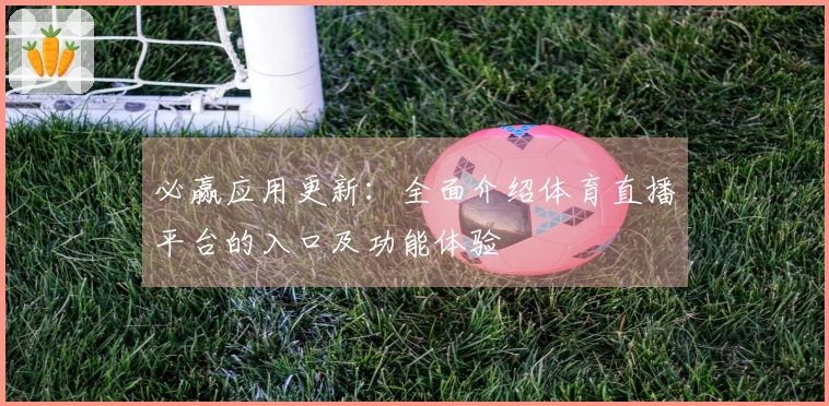 必赢应用更新：全面介绍体育直播平台的入口及功能体验